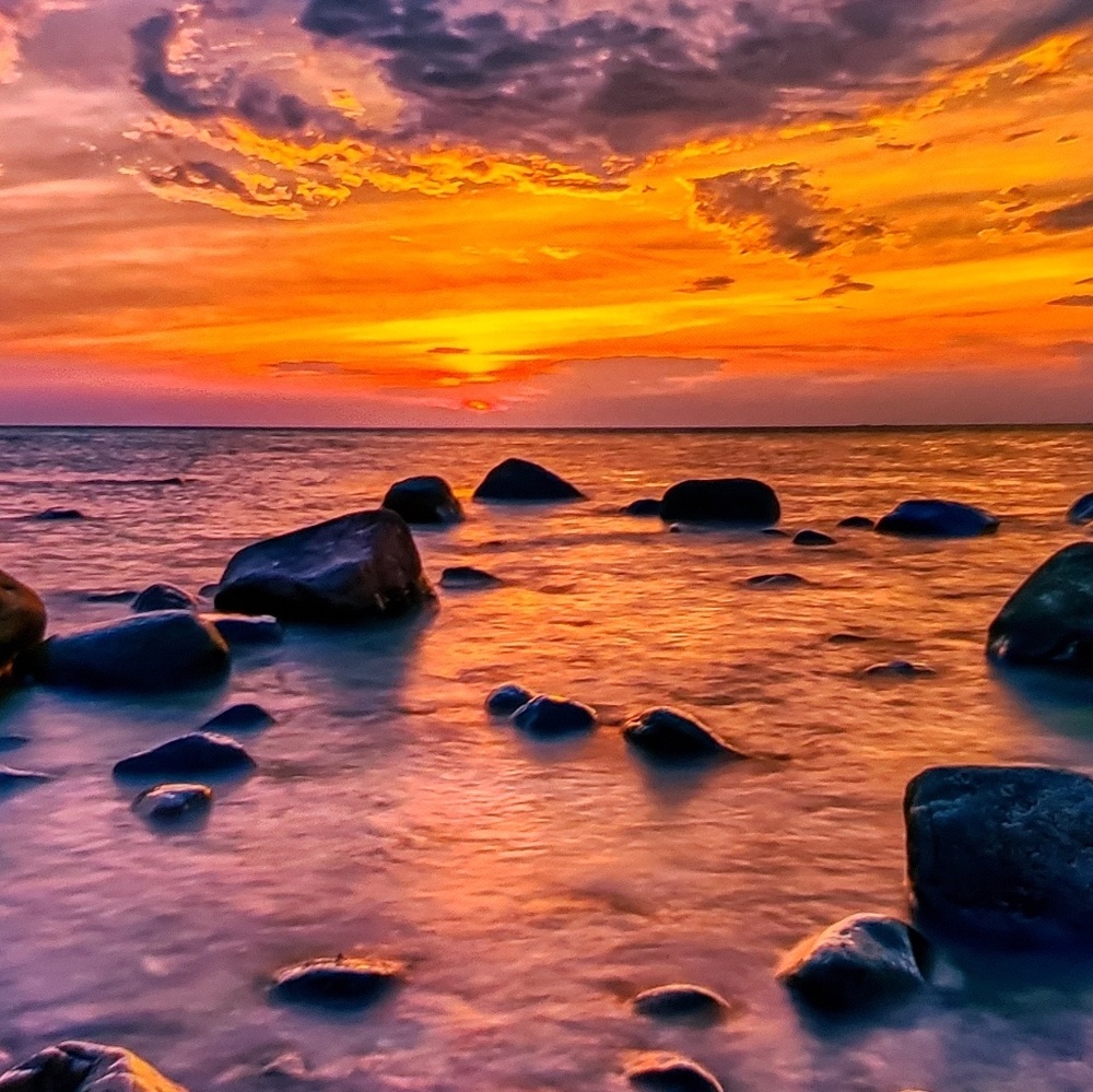 Meet your Posher, Lia